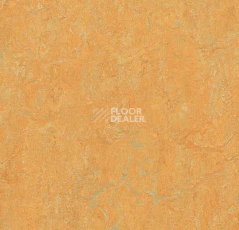 Линолеум Forbo Marmoleum Marbled Real 3847 Golden Saffron фото 1 | FLOORDEALER